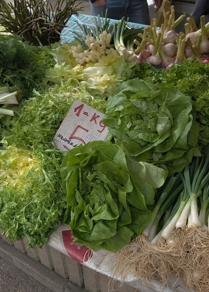 salata-734×1024 salata-734×1024
