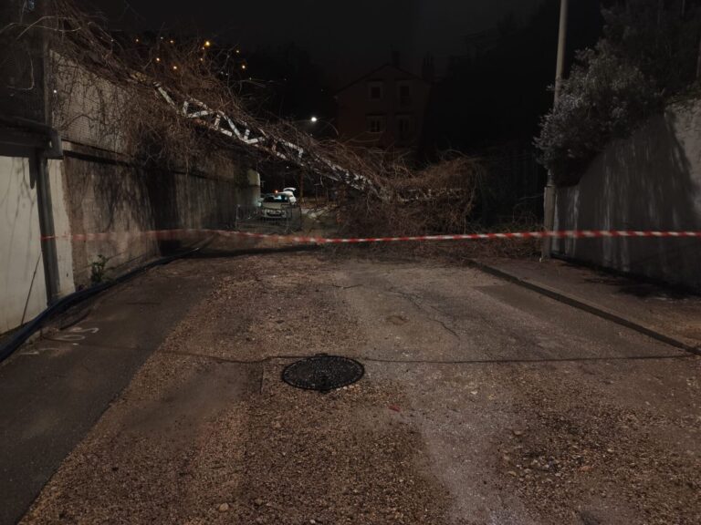 vjetar rijeka plus 270326 15 vjetar rijeka plus 270326 15