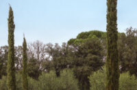 PRVI DIO A26S104_068