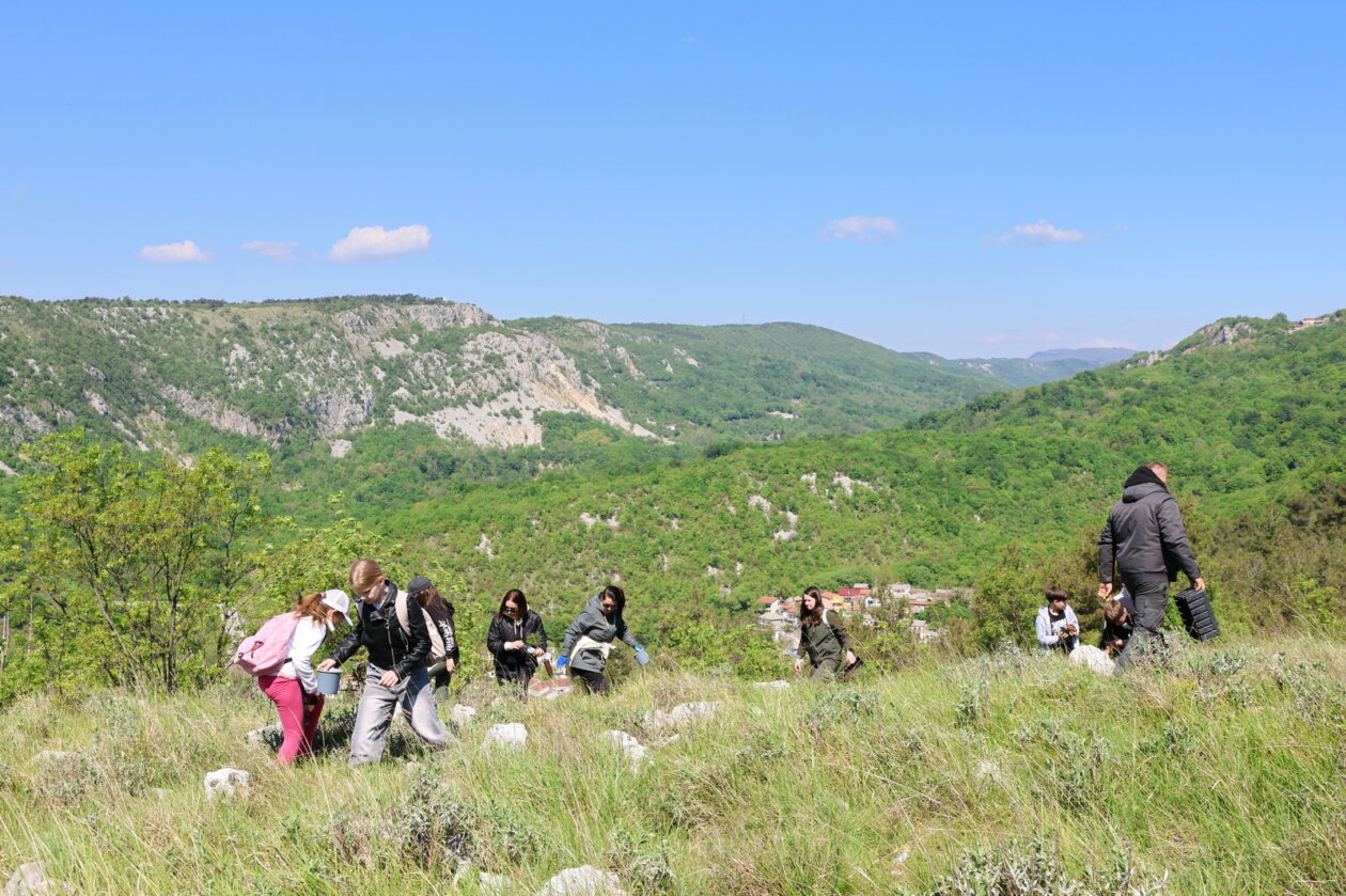 Sadnja-borova-na-Svilnom-za-Dan-planeta-Zemlje-155