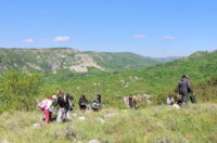 Sadnja-borova-na-Svilnom-za-Dan-planeta-Zemlje-155