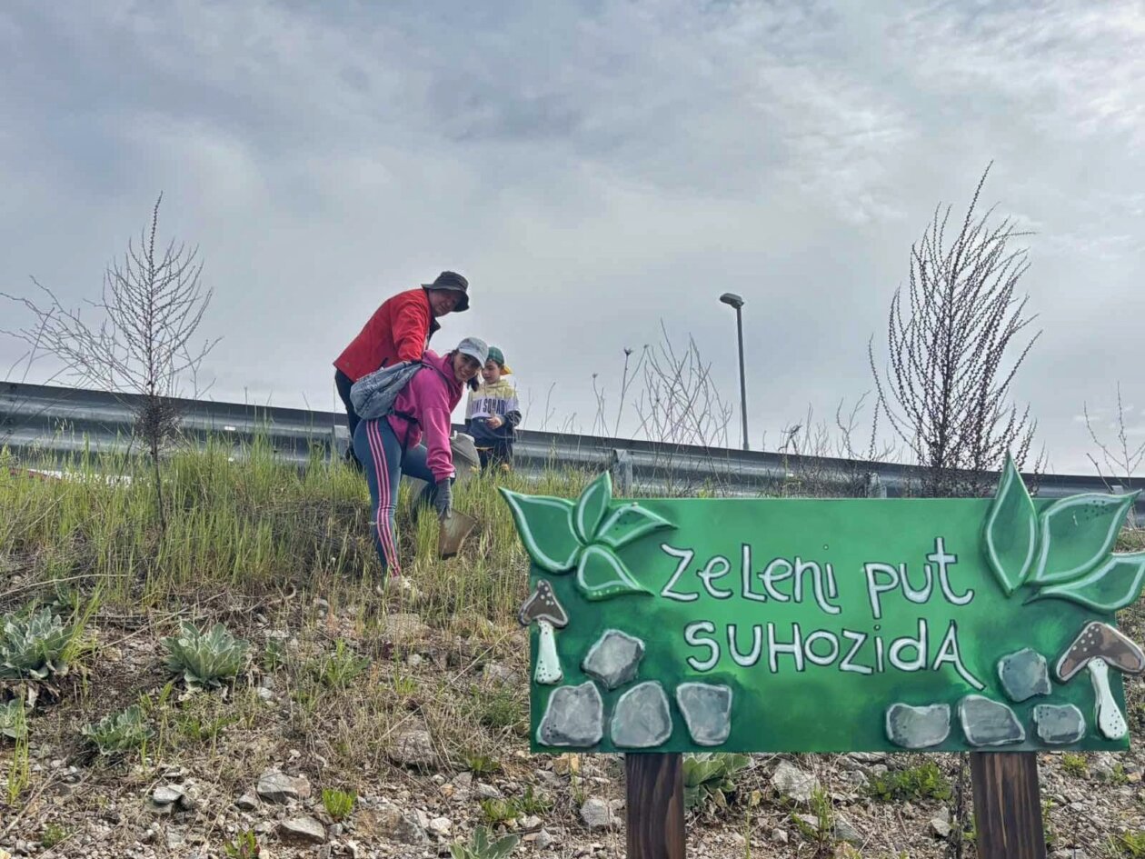 čistka 16