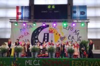 mici festival matulji (8) mici festival matulji (8)