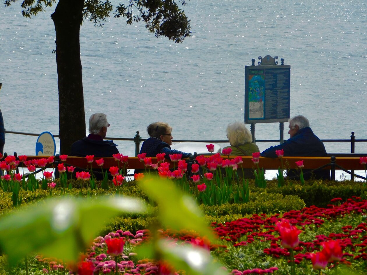 opatija proljece (7) opatija proljece (7)