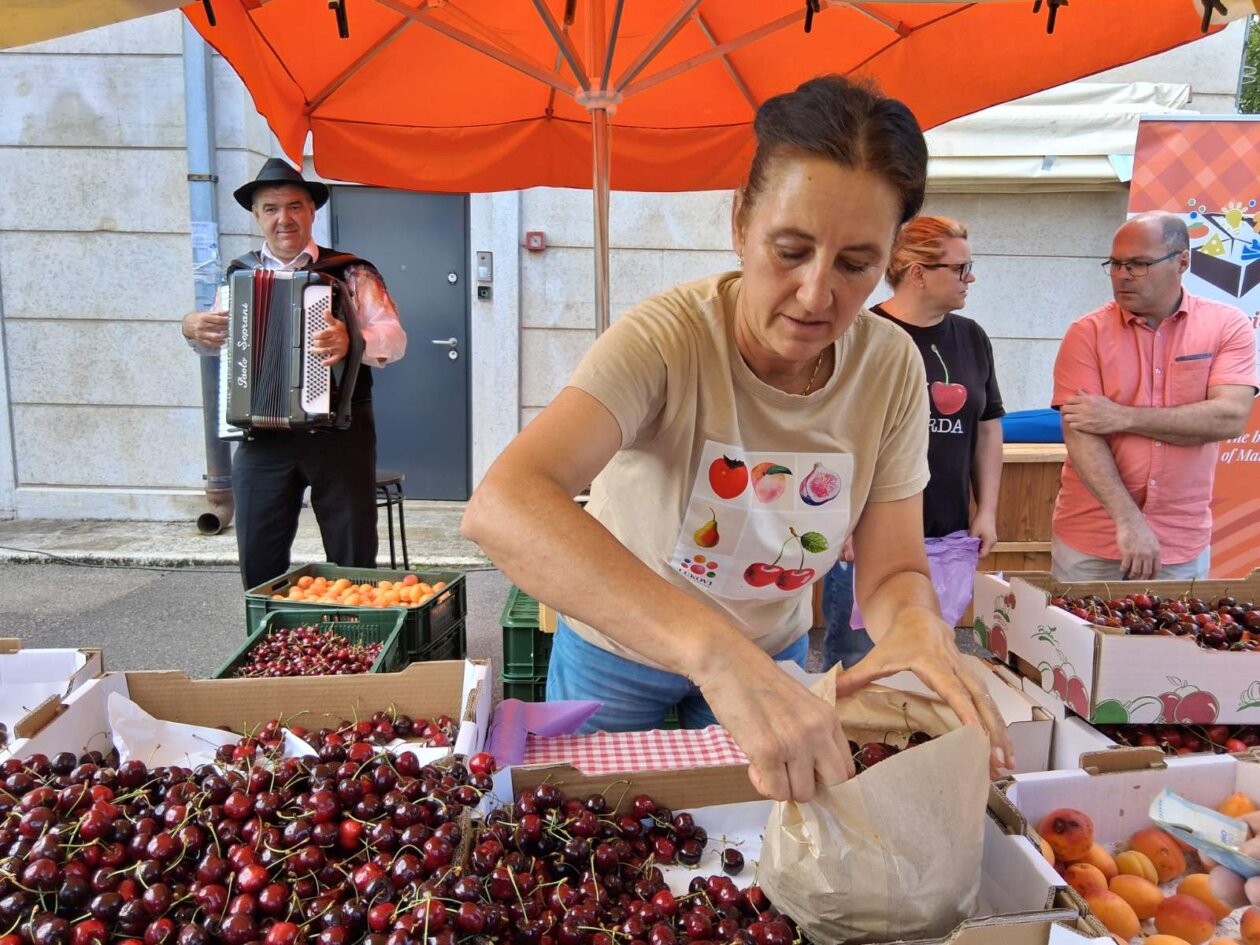 Festival briške češnje_1 Festival briške češnje_1