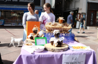 IMG_1444 IMG_1444