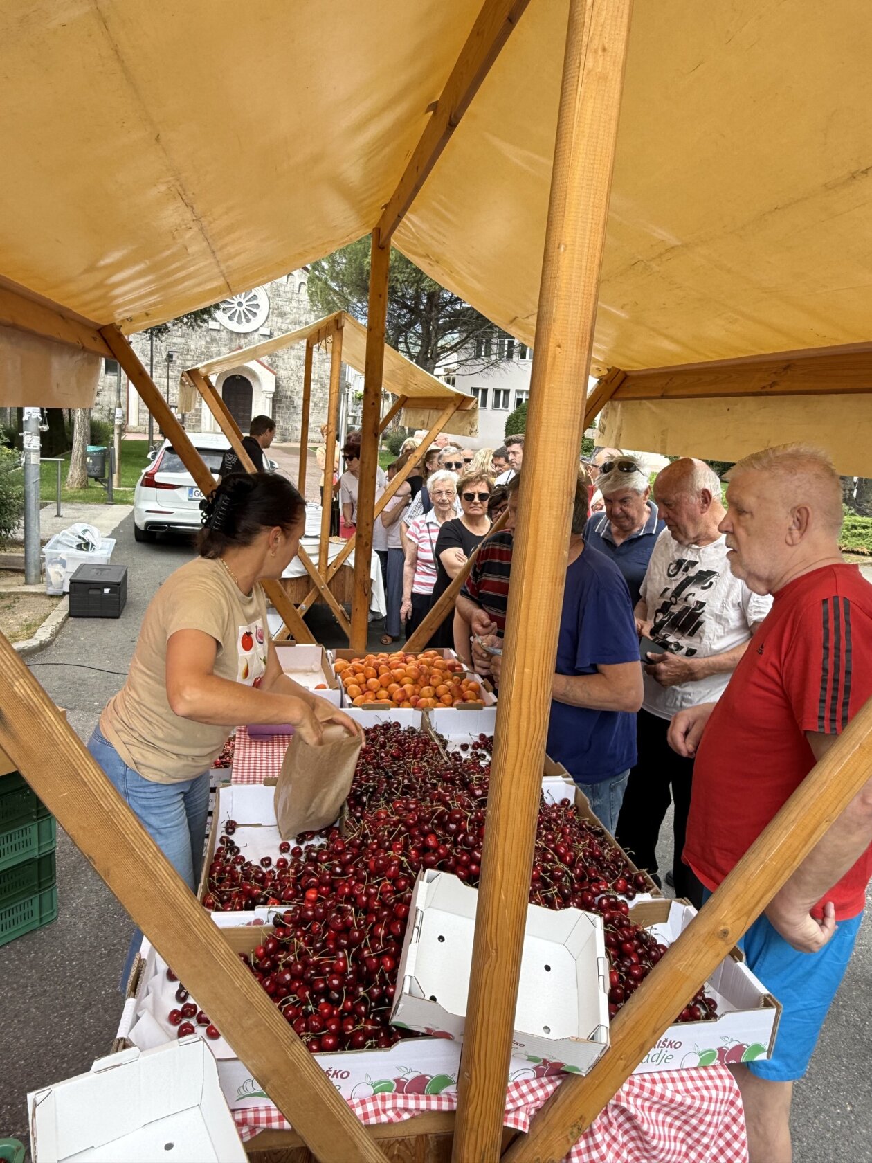 Mini festival briške češnje_3 Mini festival briške češnje_3
