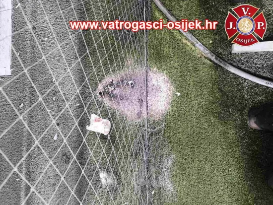 O-943987-550