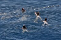 Rijeka: Ljudi uživaju u sunčanju i kupanju na plaži Rijeka: Ljudi uživaju u sunčanju i kupanju na plaži