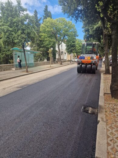 bulevard kolnik 15 bulevard kolnik 15