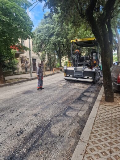 bulevard kolnik 17 bulevard kolnik 17