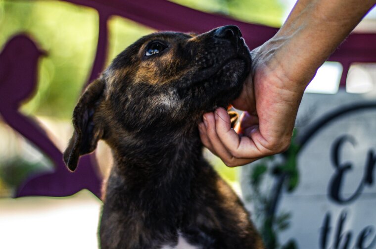 madeline-bowen-O3L9n7_QI70-unsplash madeline-bowen-O3L9n7_QI70-unsplash