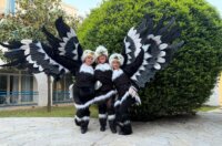 siti i pijani budva svibanj 2026 111 siti i pijani budva svibanj 2026 111