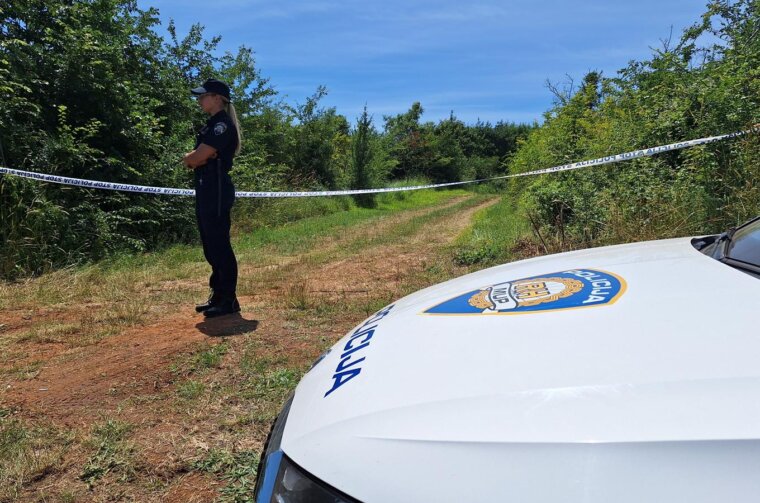 Nekoliko osoba poginulo u padu zrakoplova kod Medulina