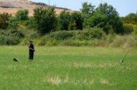 Nekoliko osoba poginulo u padu zrakoplova kod Medulina