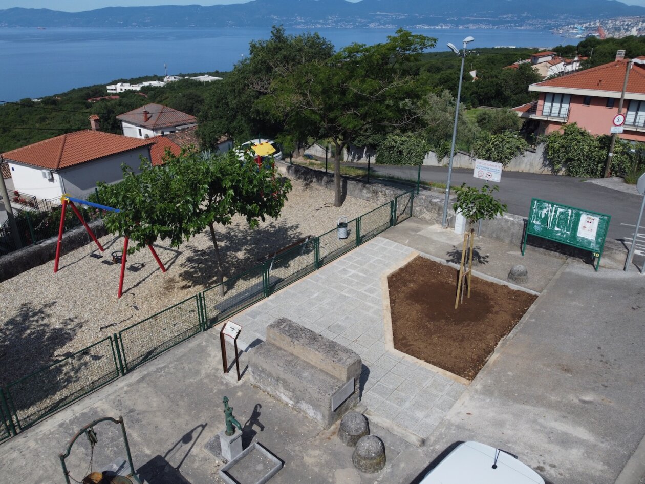 DCIM100MEDIADJI_0774.JPG