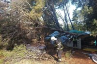 pijavica lošinj ljeto 2026 1