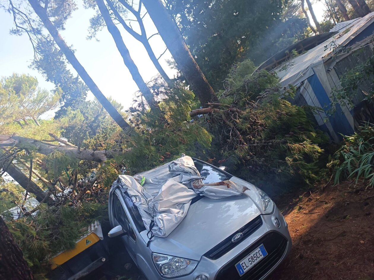 pijavica lošinj ljeto 2026 111