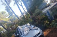 pijavica lošinj ljeto 2026 111