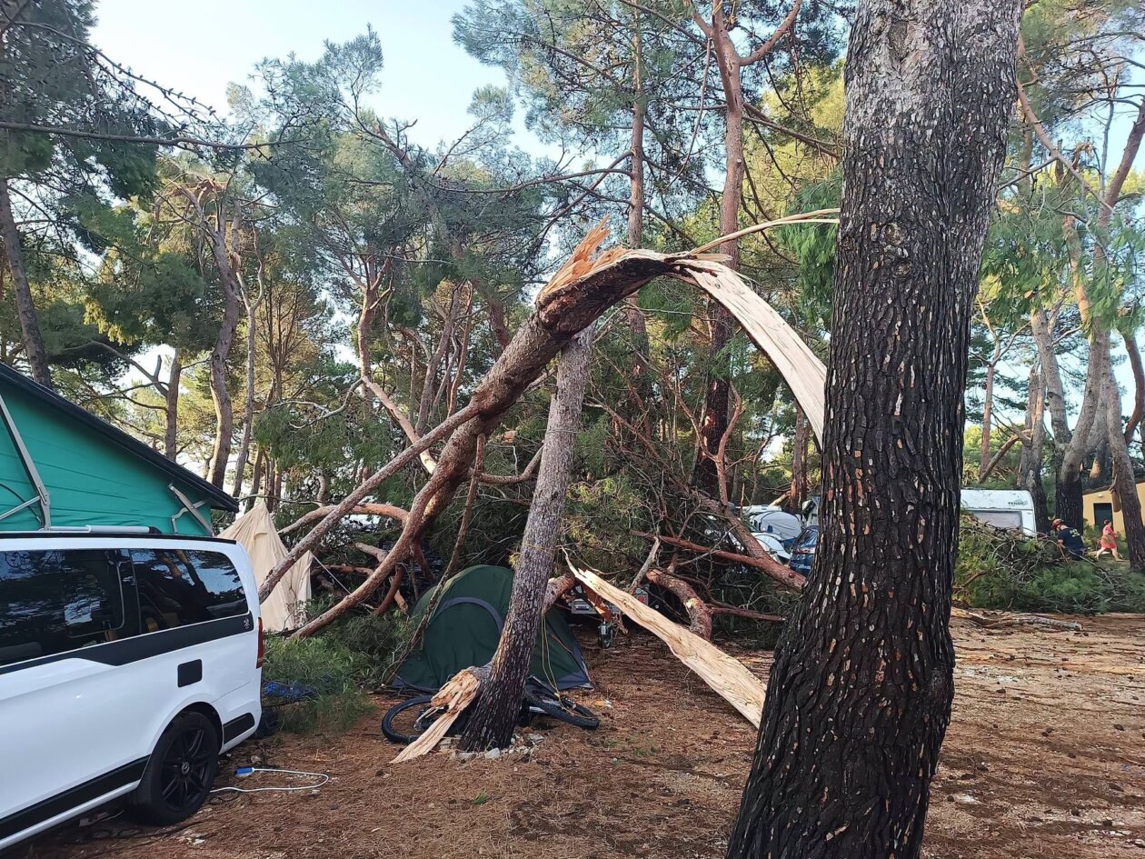 pijavica lošinj ljeto 2026 12
