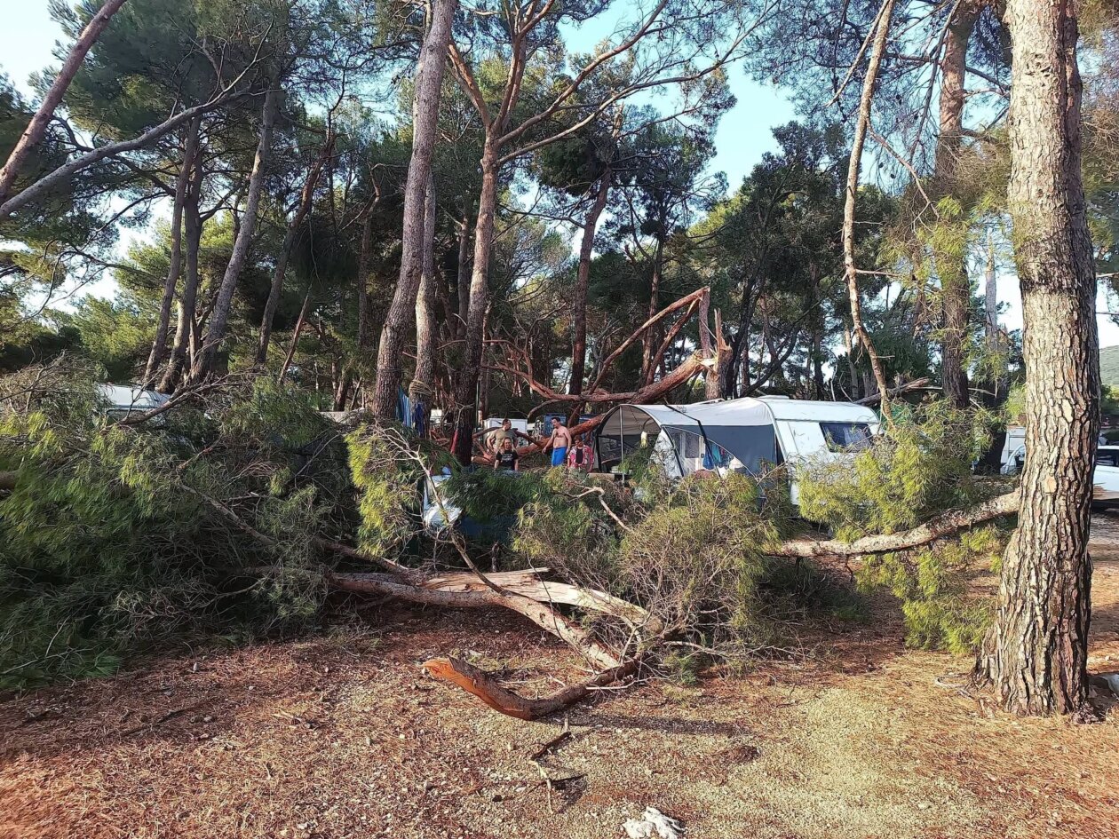 pijavica lošinj ljeto 2026 133