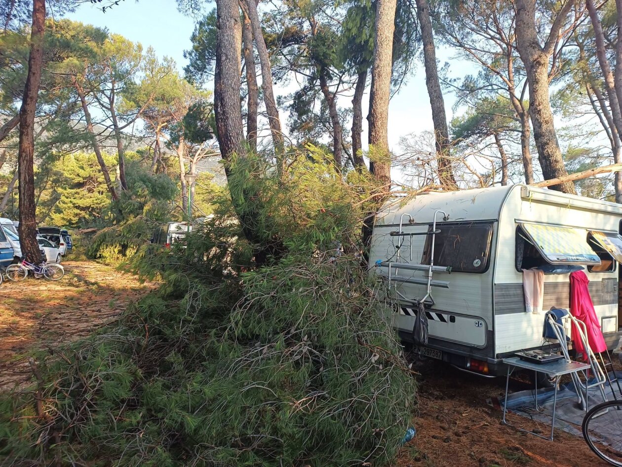 pijavica lošinj ljeto 2026 14