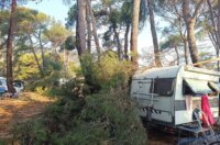 pijavica lošinj ljeto 2026 14