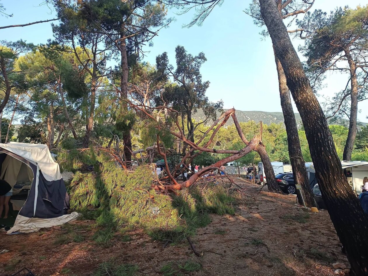 pijavica lošinj ljeto 2026 15