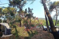 pijavica lošinj ljeto 2026 15