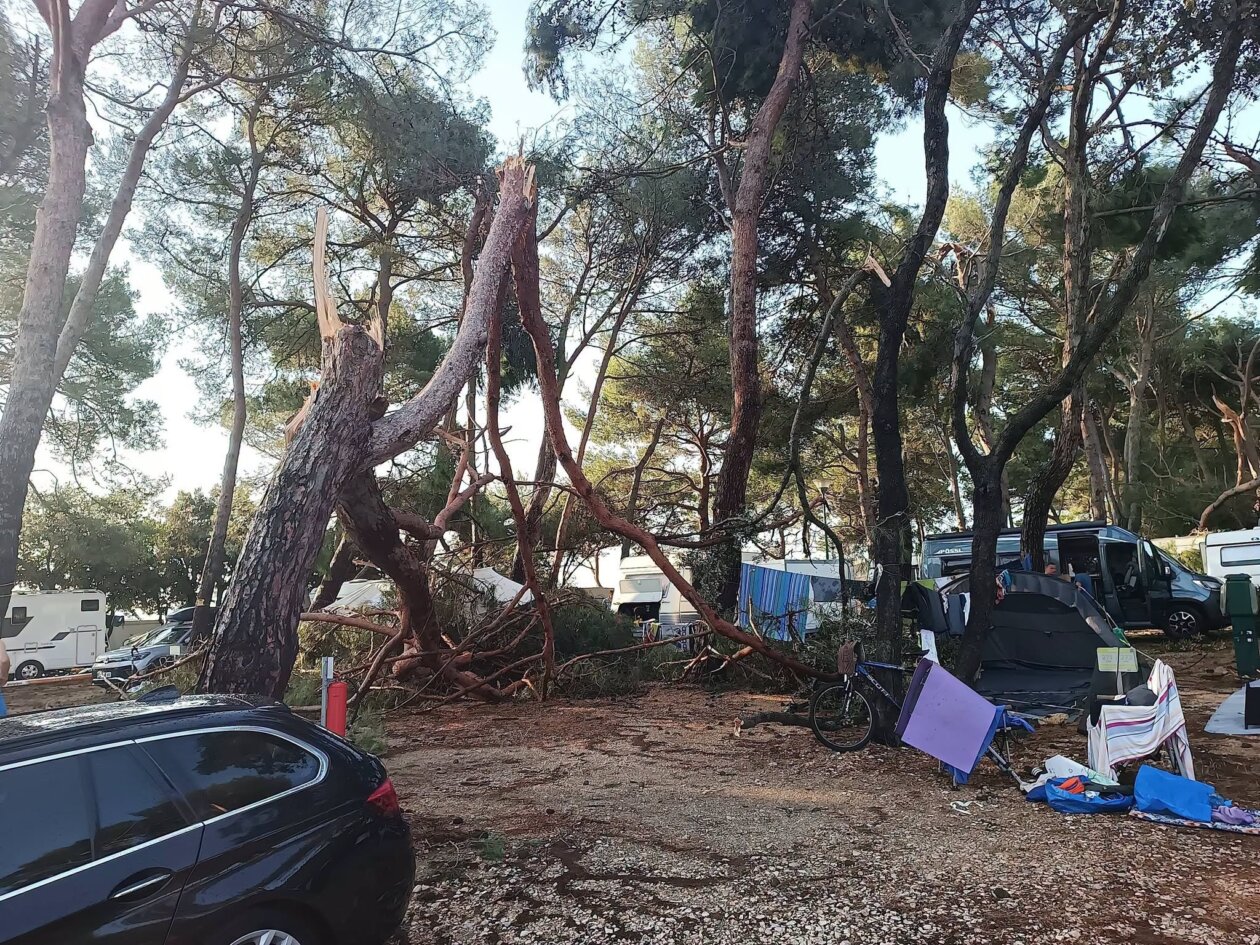 pijavica lošinj ljeto 2026 16