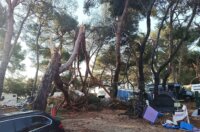 pijavica lošinj ljeto 2026 16