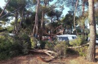 pijavica lošinj ljeto 2026 19