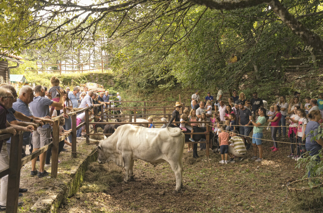 Učkarski Samanj 2023 Učkarski Samanj 2023