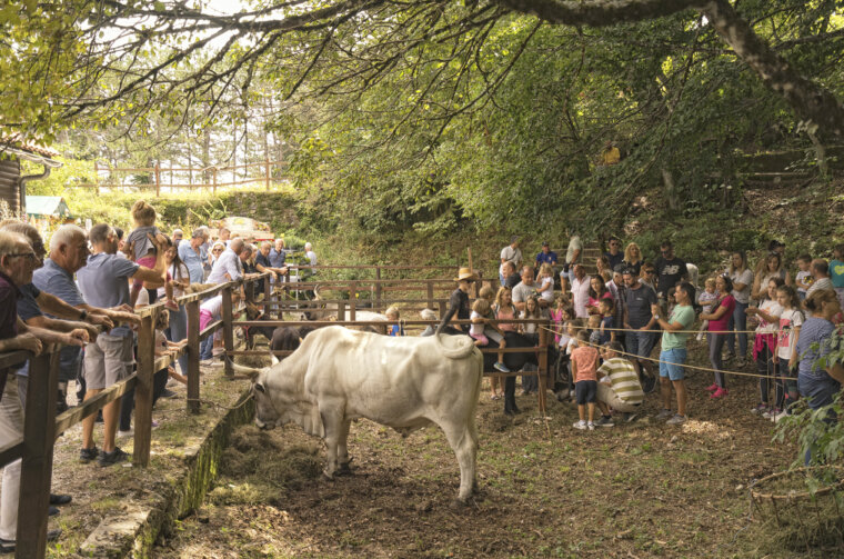 Učkarski Samanj 2023 Učkarski Samanj 2023