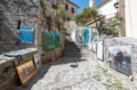 mandrac (6)