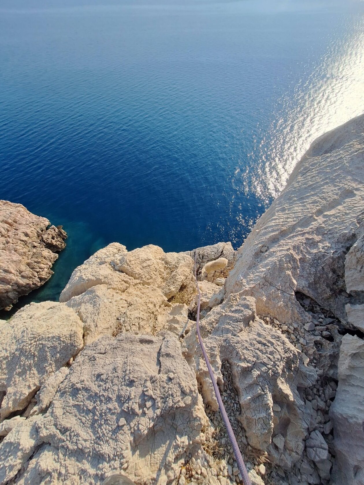 ovca krk (7) ovca krk (7)