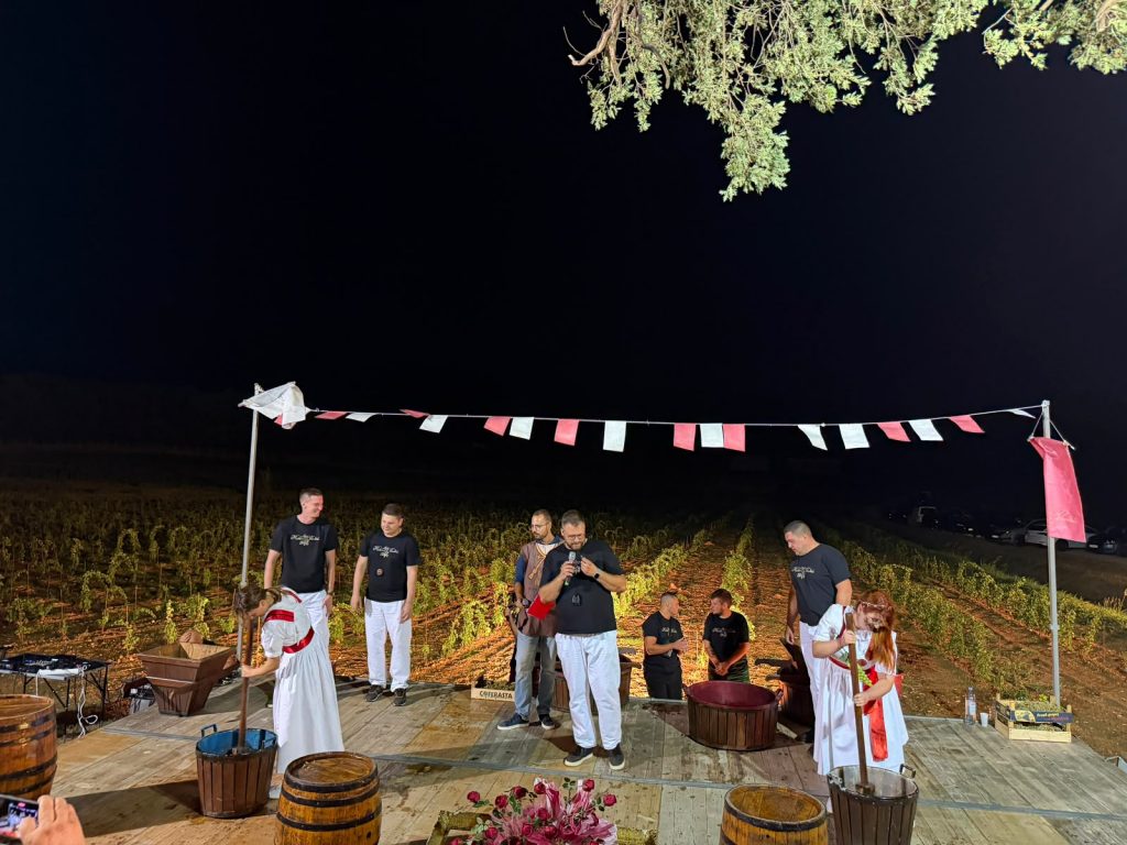ruzica vinodola (4)
