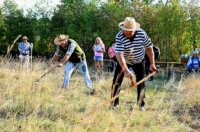 Košnja i žetva po starinsk (6) Košnja i žetva po starinsk (6)