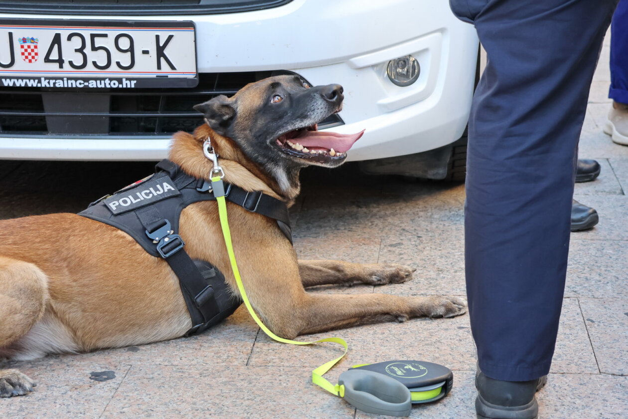 Policija-pokazna-vjezba-Korzo-8 Policija-pokazna-vjezba-Korzo-8