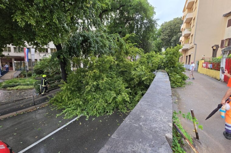 STABLO PRVOMAJSKA