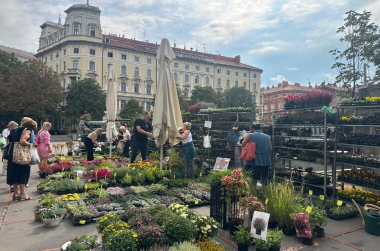 jesenski sajam kod konta (1)