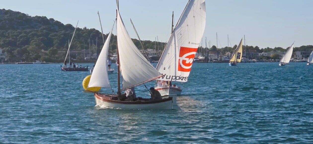 latinsko jidro Murter 2026 13 latinsko jidro Murter 2026 13