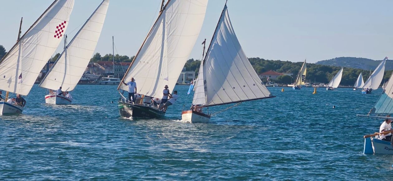 latinsko jidro Murter 2026 14 latinsko jidro Murter 2026 14