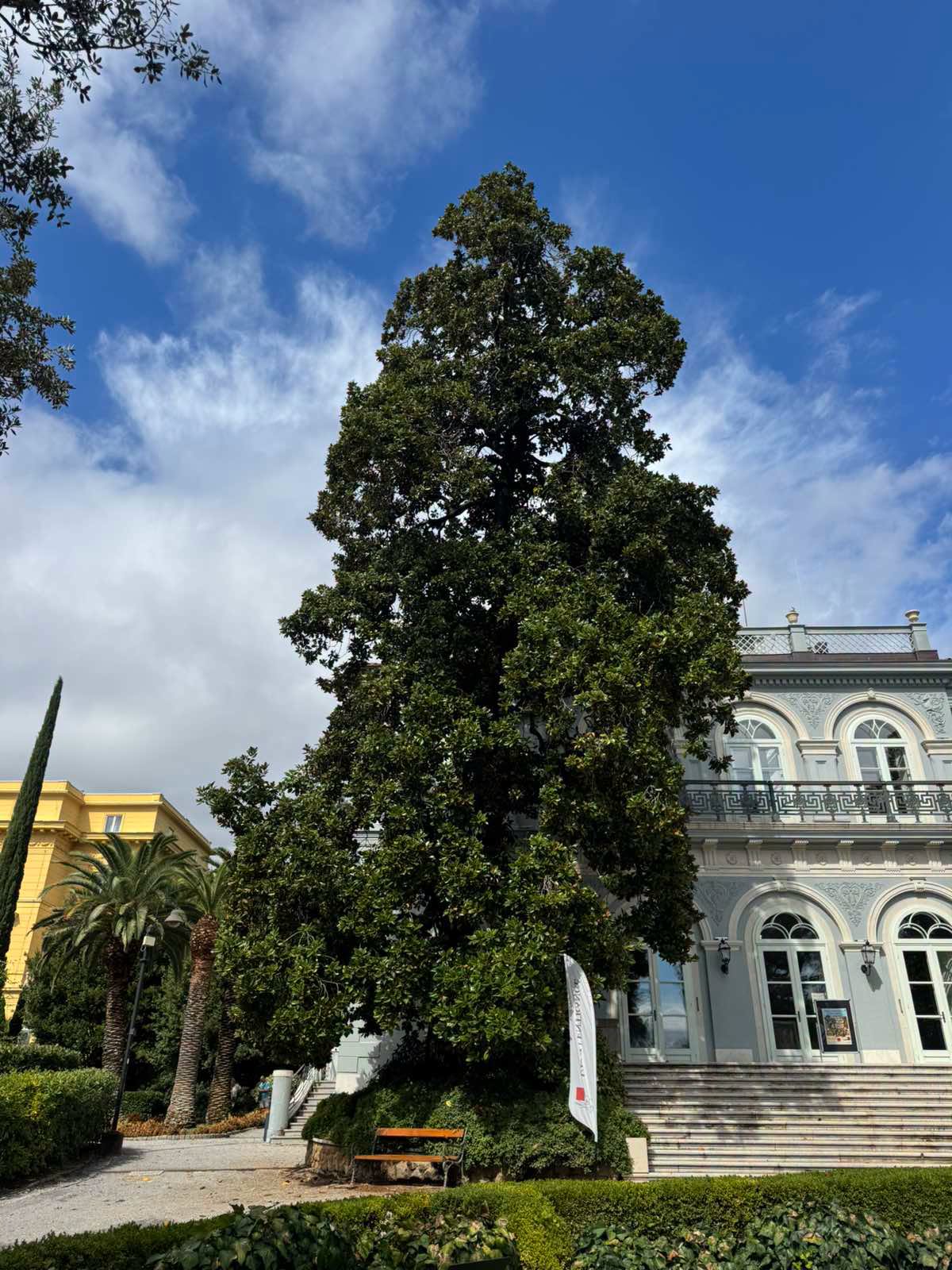stablo opatija (3)