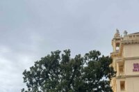 stablo opatija (5)