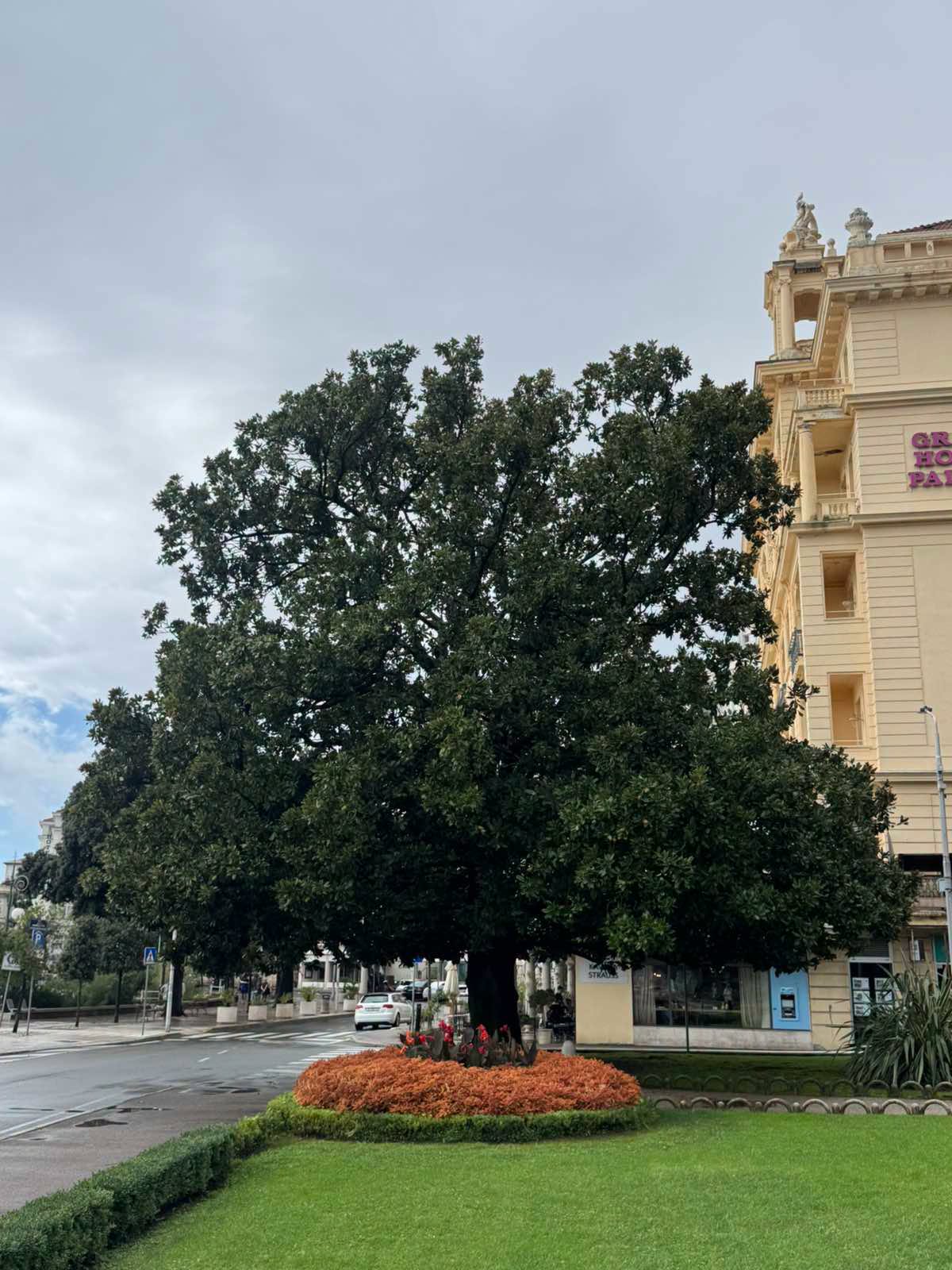 stablo opatija (5)