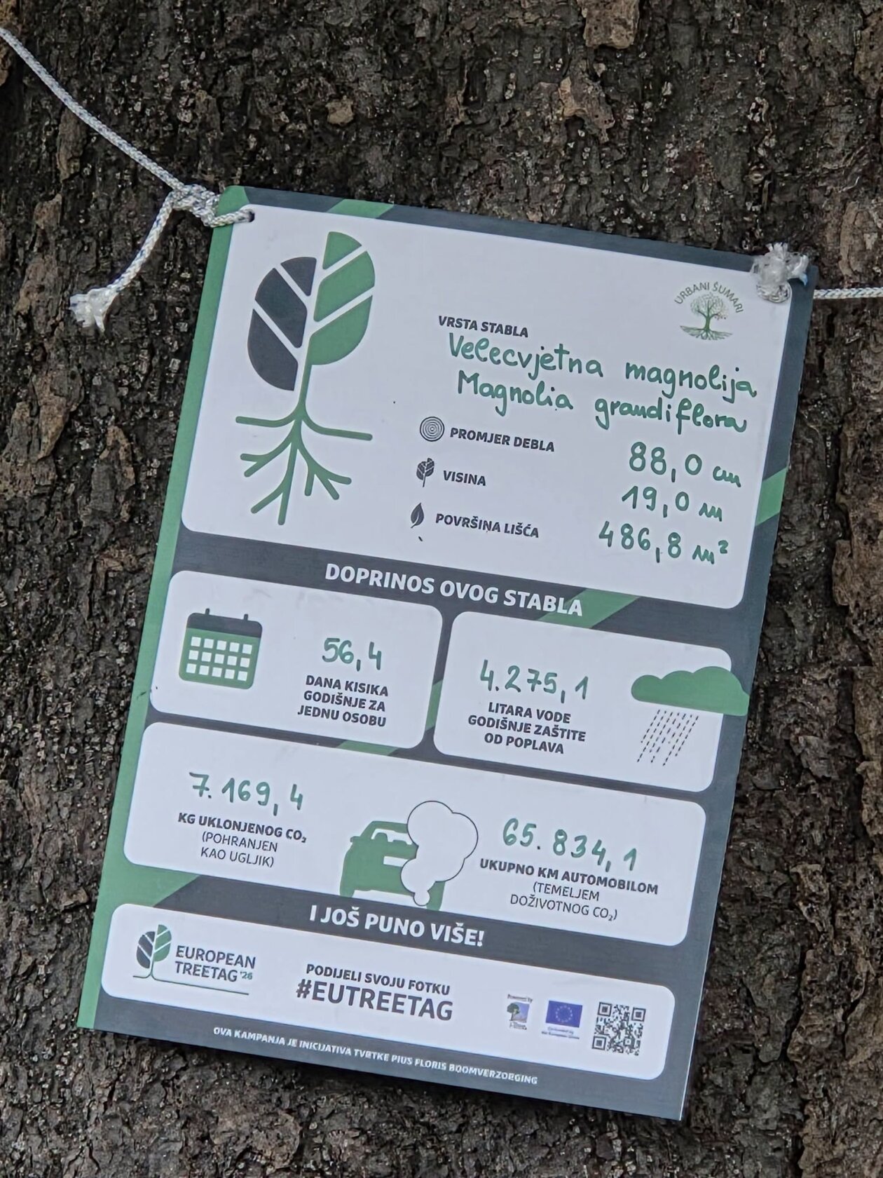 stablo opatija (9)