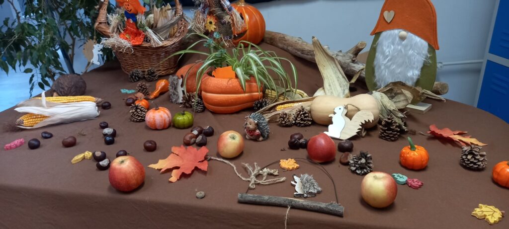 OSKostrena_2026.Dani-jabuka4-1024×461