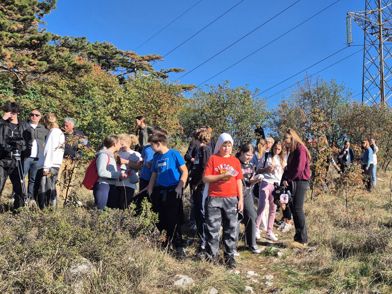 Posumljavanje-9 Posumljavanje-9
