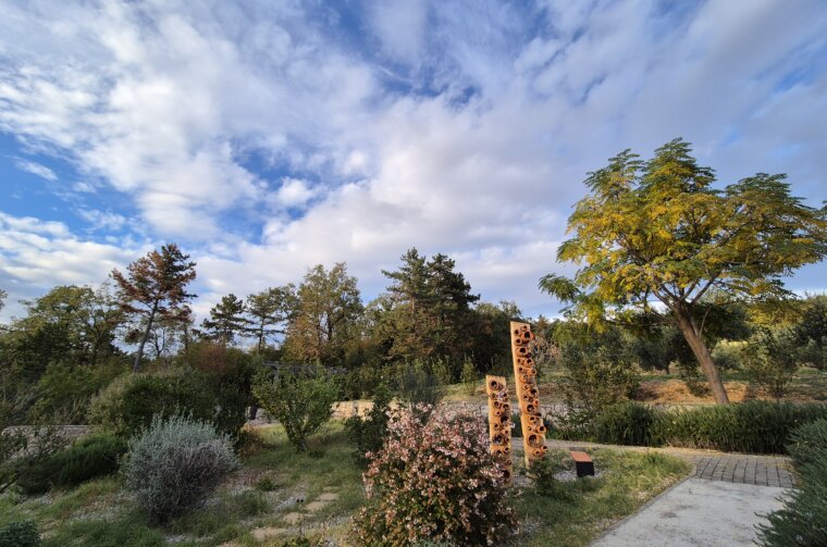 kostrena drva (1)
